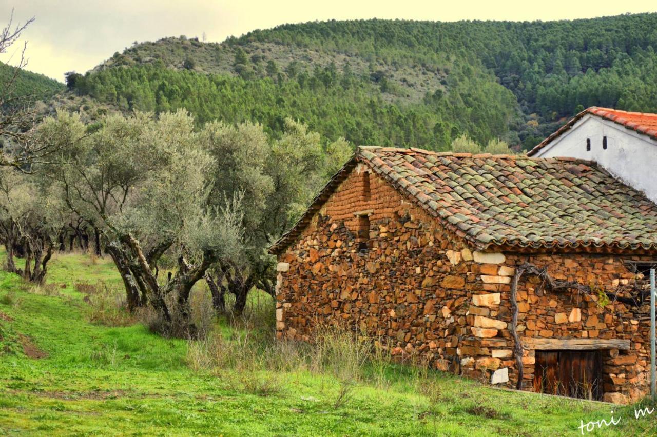 La Casita De Leire Vendégház Tamajon Kültér fotó